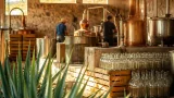 Gobierno de Guerrero destina más de 7 millones a certificación y promoción del mezcal